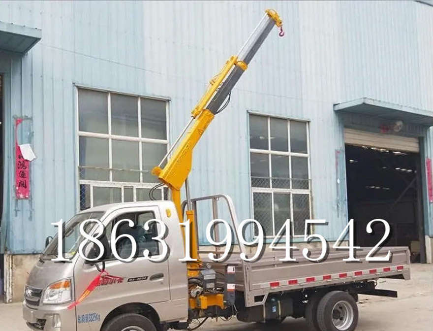 田尾乡车载吊机220v移动吊机搬运车载吊机那里有吊水泥船用小型